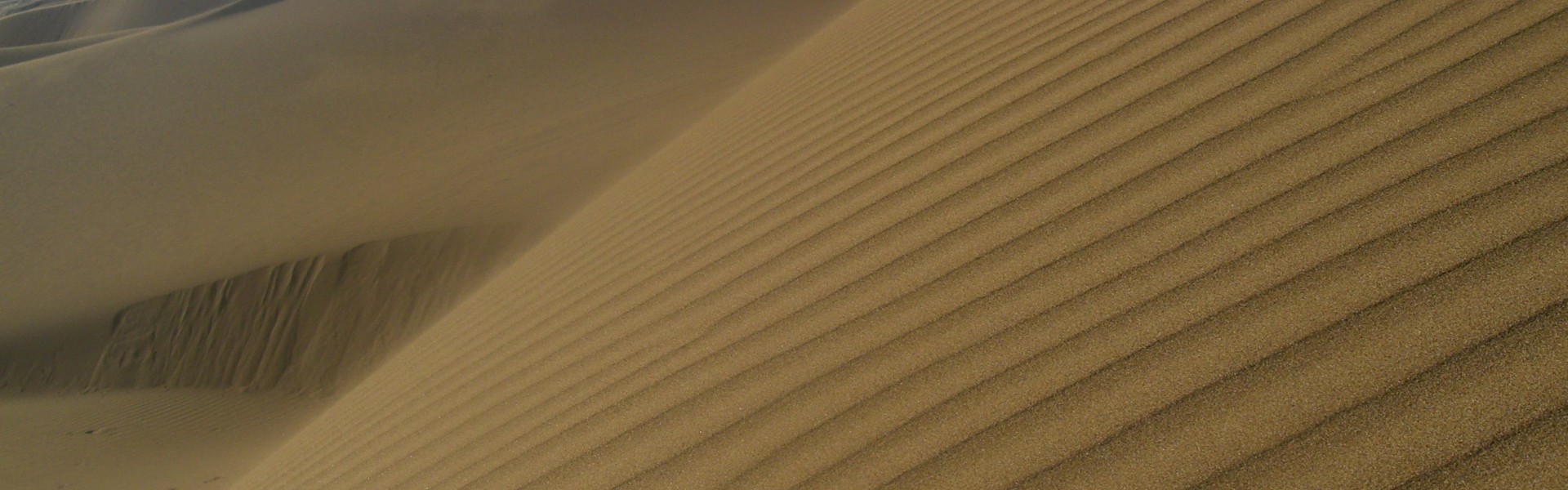 The Path of the Tariqa Tijaniyya